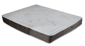 ac3614_73e6cf1cf93e40b78a5a71d325537c66~mv2