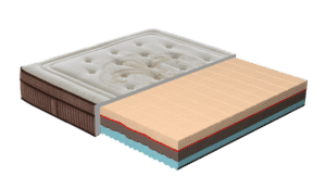 Sezione Intera New Piuma